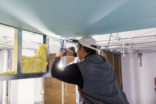 Best Crawl Space Insulation  in New Holstein, WI